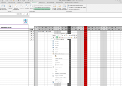 Exemples outil de saisie excel